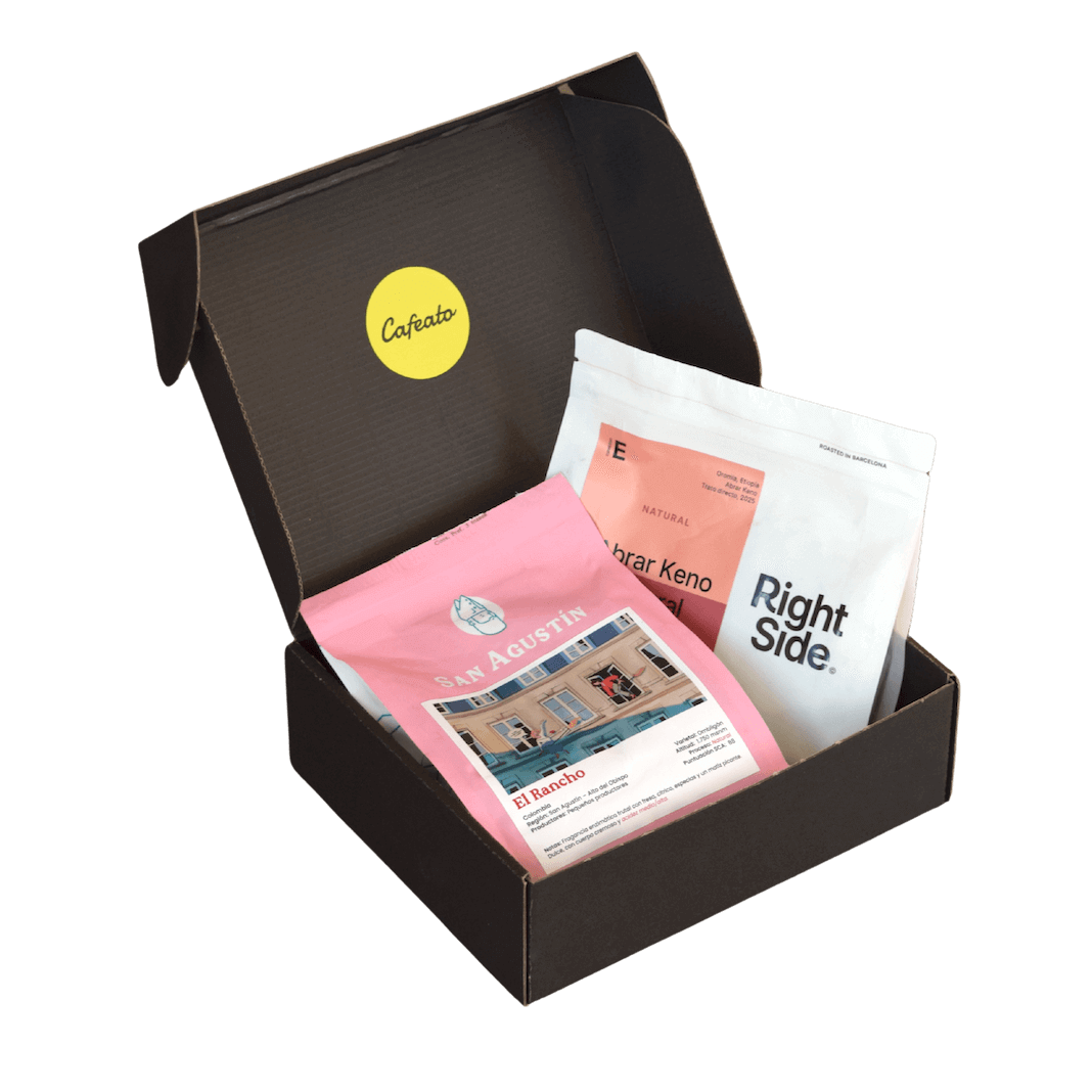 What is inside the Cafeato box